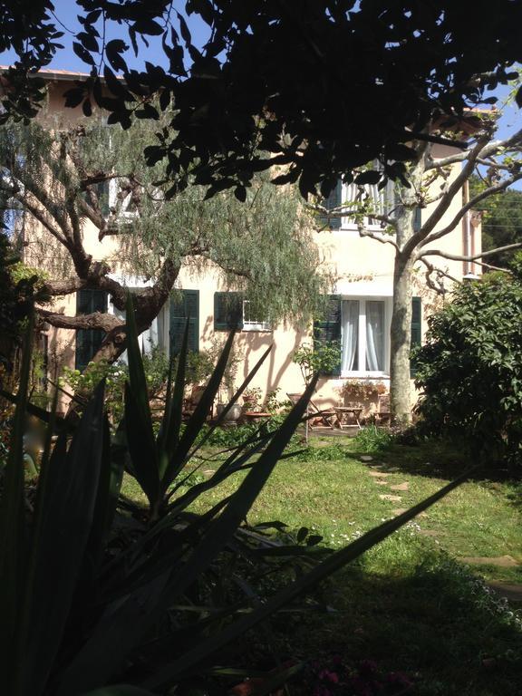 Villa Pretorina Cannes Eksteriør billede